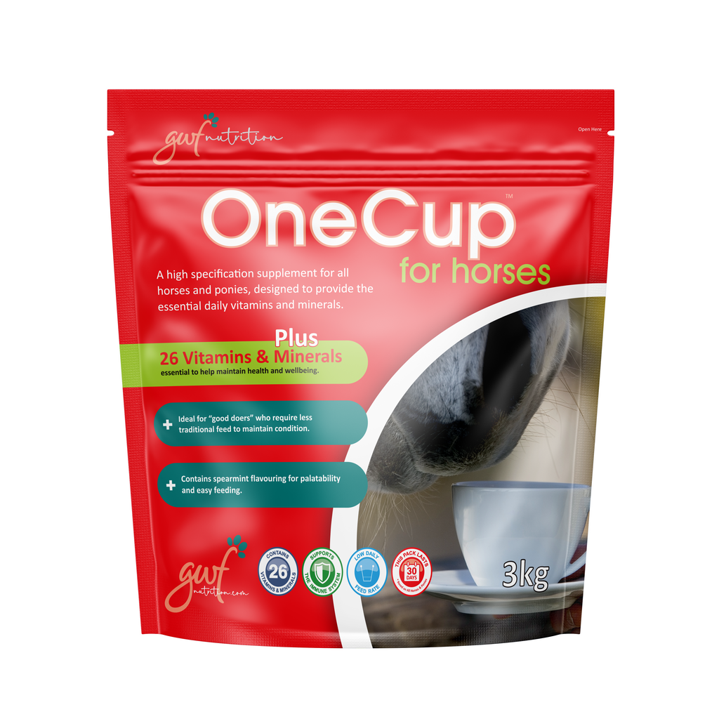 OneCup for Horses | Vitamins & Minerals for Horses | 3kg Pouch