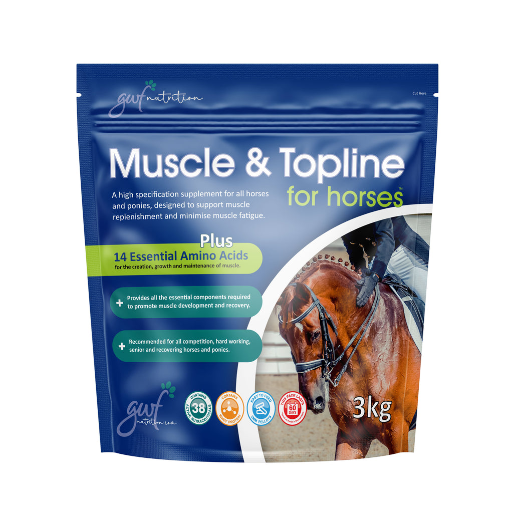 Muscle & Topline for Horses | Muscle Supplements for Horses | 3kg Pouch