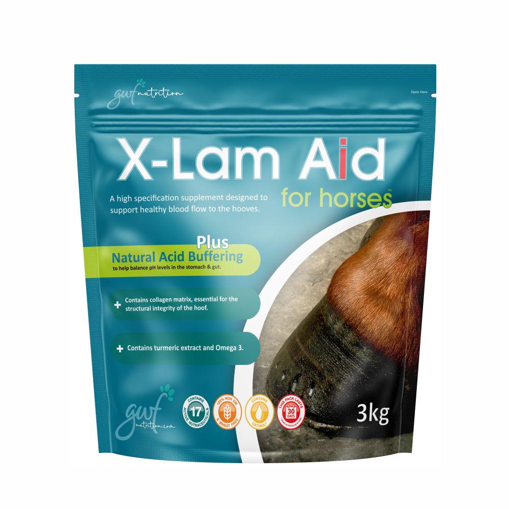 Joint Aid for Dogs 250g