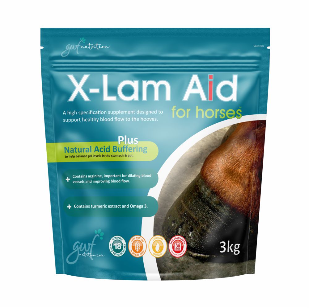 X-Lam Aid for Horses 3kg Pouch