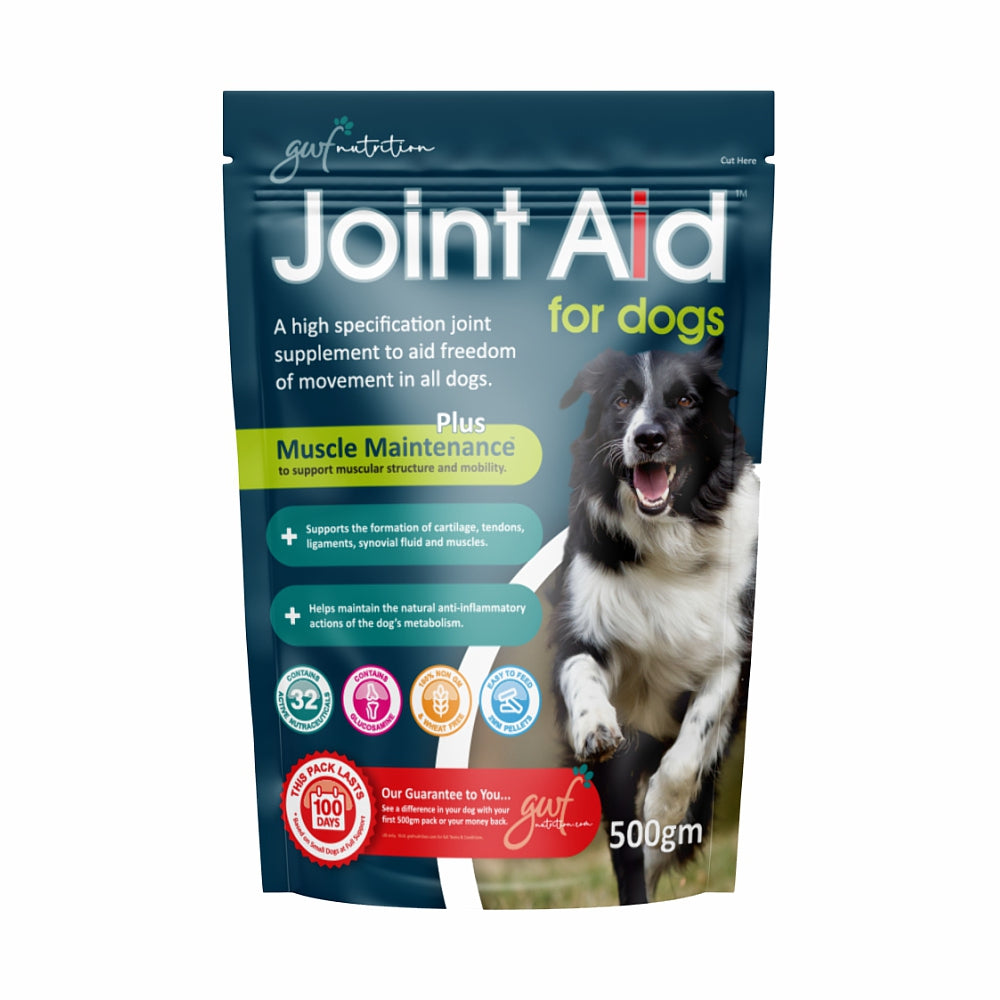 Image showcasing The Best Joint Supplements for Dogs: What To Look For
